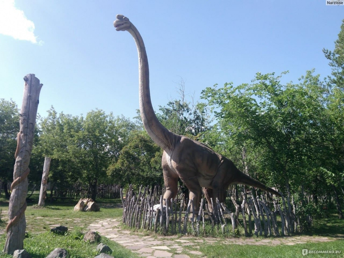 Экскурсия в парк «Динозаврик»